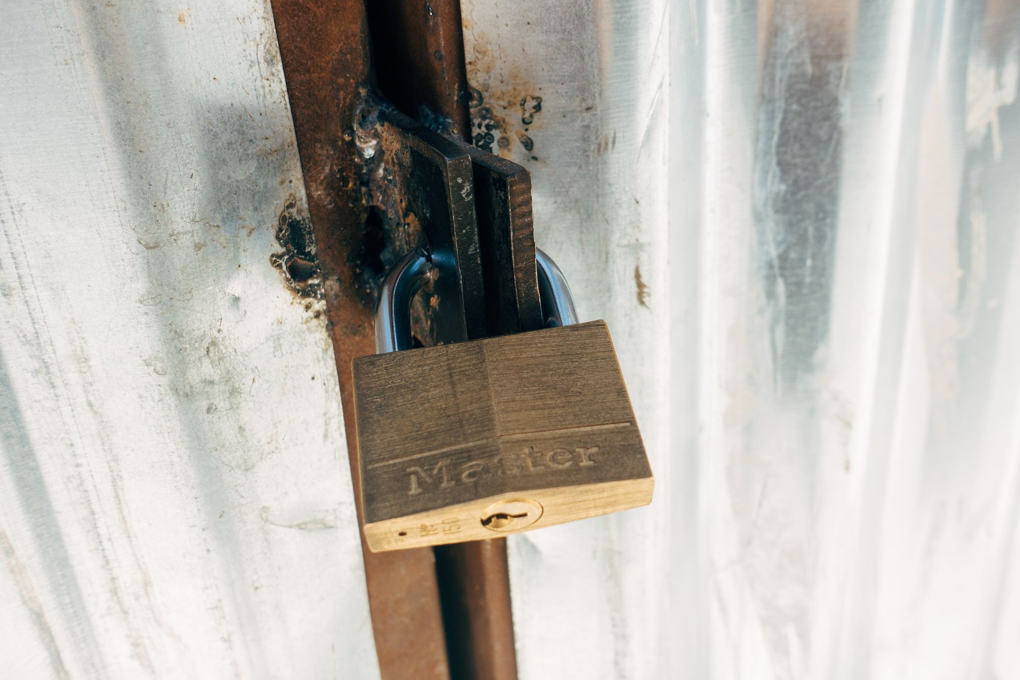🔒Kostenlos sichern: Warum Let's Encrypt teuren Zertifikaten den Rang abläuft!